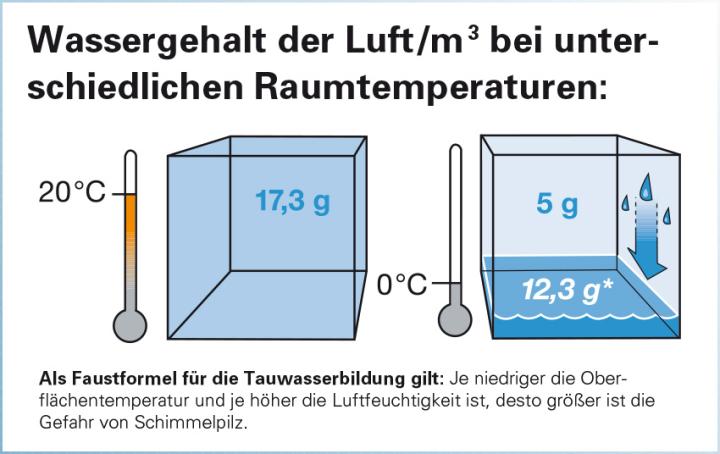 Auf die richtige Luft feuchtigkeit kommt es an